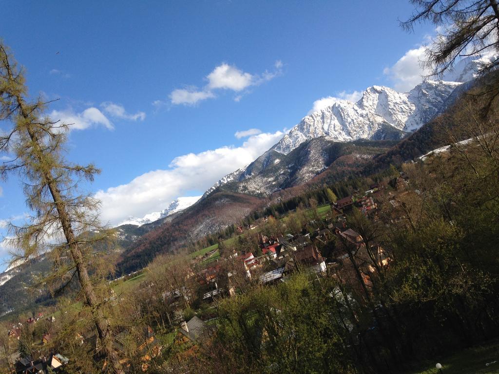 B&B Art House Szymaszkowa 1 Zakopane Exteriér fotografie